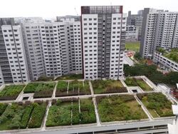 Blk 138D Lake Vista @ Yuan Ching (Jurong West), HDB 3 Rooms #570229121